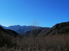 -卧龙中华大熊猫苑神树坪基地