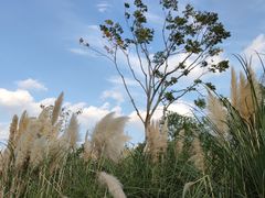 -上海山野camping·户外天幕烧烤·团建拓展营地