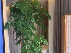 -麦悠悠·SPA·推拿(沈杜公路地铁站店)