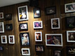 -百好乐宠物友好餐厅(朝外大街店)