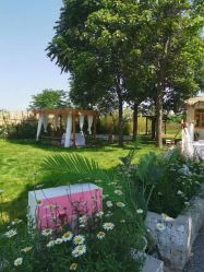 -DORA kids 朵拉儿童摄影花园店