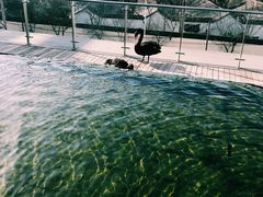 -行者书屋大堂吧 ·下午茶(南京圣和府邸酒店)