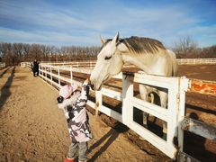 -月河湾马术俱乐部(朝阳店)