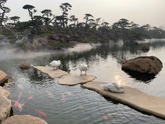 -罗红摄影艺术馆