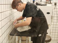 -钦宠·猫咪售卖·洗护·寄养(东圃旗舰店)
