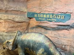 -河南自然博物馆