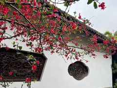 -棠湖公园