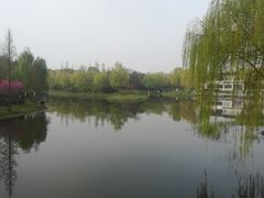 -尚贤河湿地