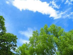 -洛阳白云山景区