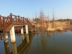 -同里国家湿地公园