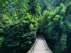 -青城山