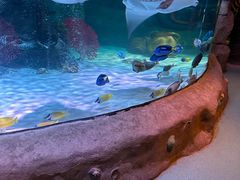 -沈阳海洋探索中心