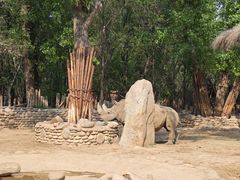 -北京野生动物园