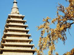 -北京石刻艺术博物馆(五塔寺)