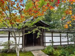 -西芳寺(苔寺)