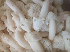 -佳缘野生菌食府
