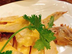 散养鸡-三林本帮馆(中林街店)