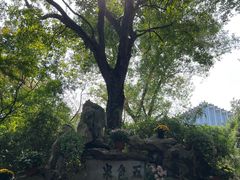 -上海醉白池公园