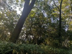 -广州市帽峰山景区