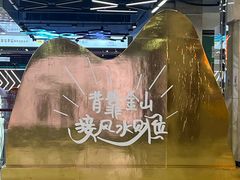 -吾悦广场(天津和平店)