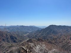 -大岭沟猕猴桃谷风景区