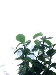 -时尚妈咪产后修复中心