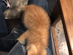 -时光转角咖啡馆(西康路店)