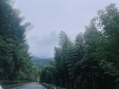 -雅鲁激流探险漂流