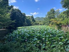-岚山嵯峨野观光小火车