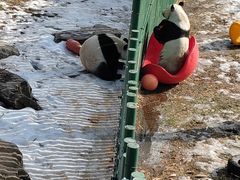 -沈阳森林动物园