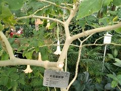-北京植物园-展览温室
