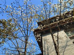 -四川大学(华西校区)