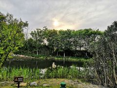 -董永七仙女文化园