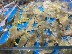 -徐记海鲜(大雁塔|金都店)