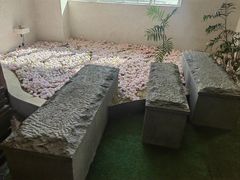 -青岛海泉湾皇冠假日度假酒店-天海日餐厅