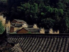 -杨家堂村