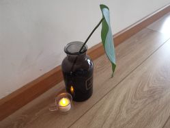 -素可SPA