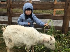 -前小桔亲子创意农场·草莓采摘·露营烧烤