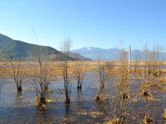 -泸沽湖国家级风景名胜区走婚桥