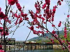 -石塘人家