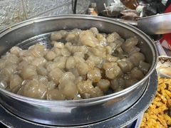 -爪爪西施