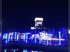 -三亚海昌梦幻海洋不夜城