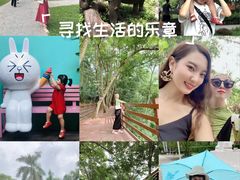 -西双版纳原始森林公园