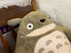 -一杯海(国际海水浴场店)