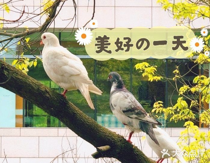 欢乐的农场，欢乐的时光！