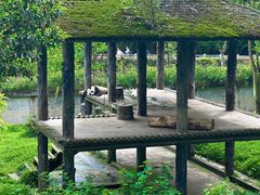 -中国大熊猫保护研究中心雅安碧峰峡基地