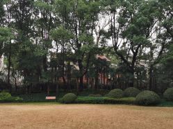 -丁香花园申粤轩·宴会厅