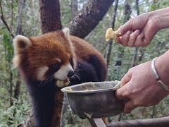 -普洱太阳河森林公园