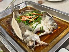 清蒸鲈鱼-顺徕德·仙庙烧鸡(桂庙路店)