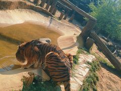 -昆明动物园